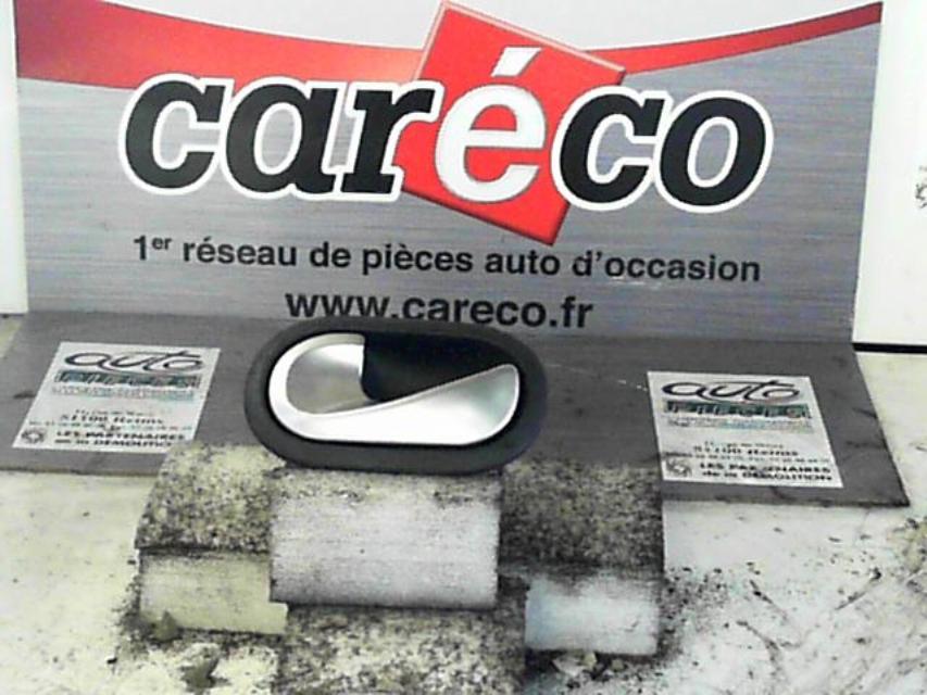 Poignee interieur arriere gauche