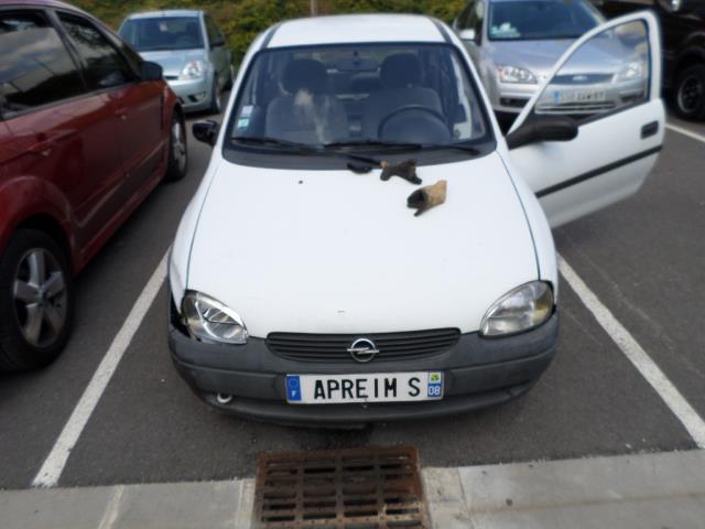 Verin de coffre