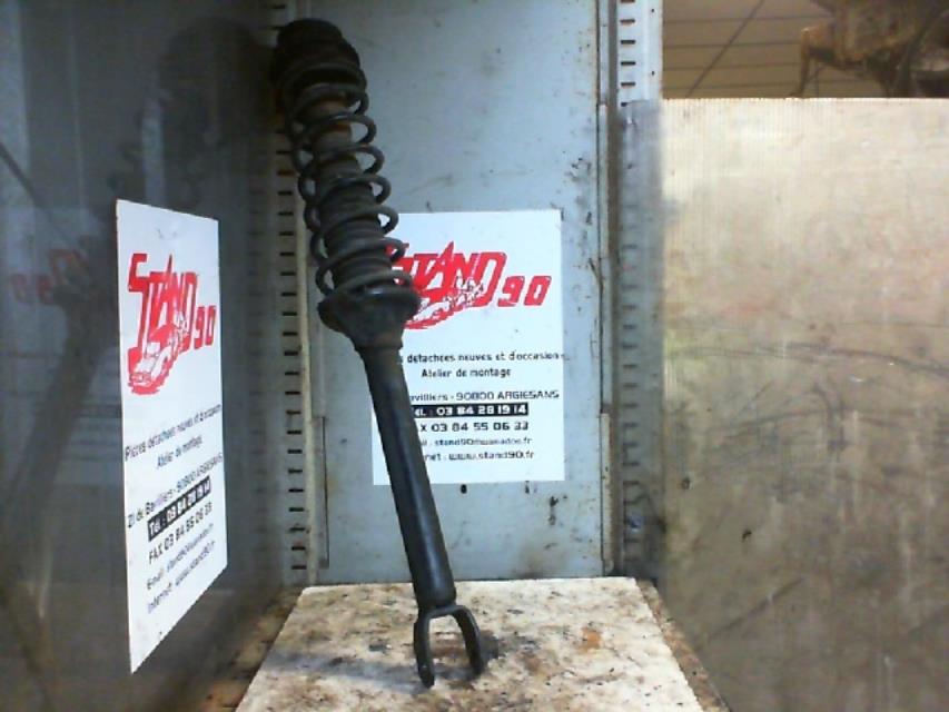 Ammortizzatore posteriore sinistro
