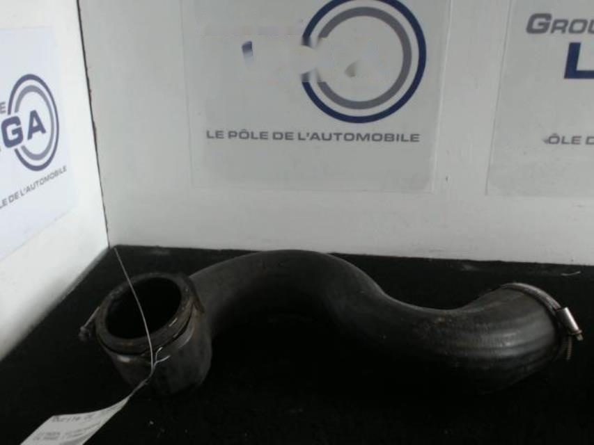 Durite