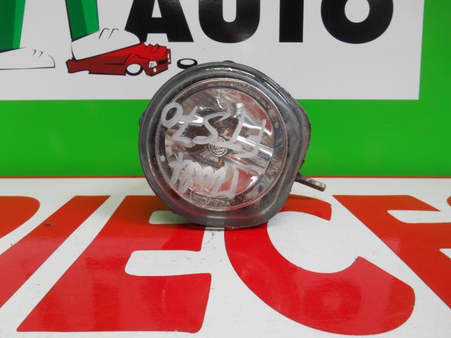 Fendinebbia sinistro (luce)