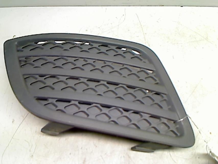 Grille de pare choc