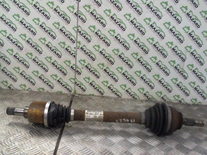 Cardan gauche (transmission)