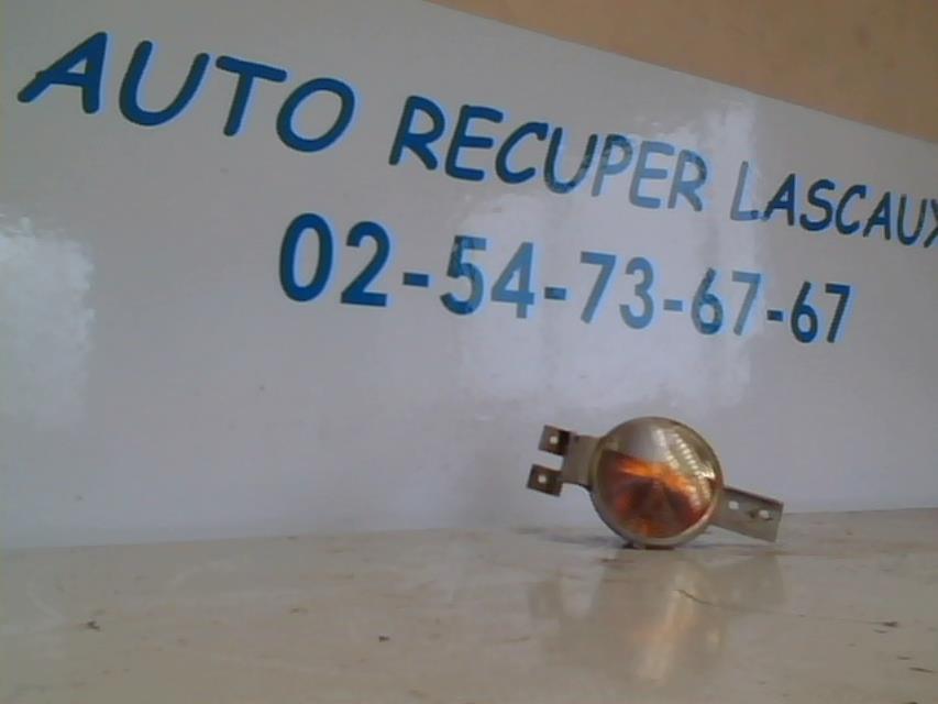 Gruppo ottico anteriore secondario sinistro (luci)(freccia)