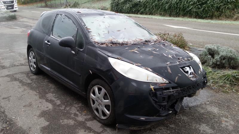 Pinza freni anteriore sinistra