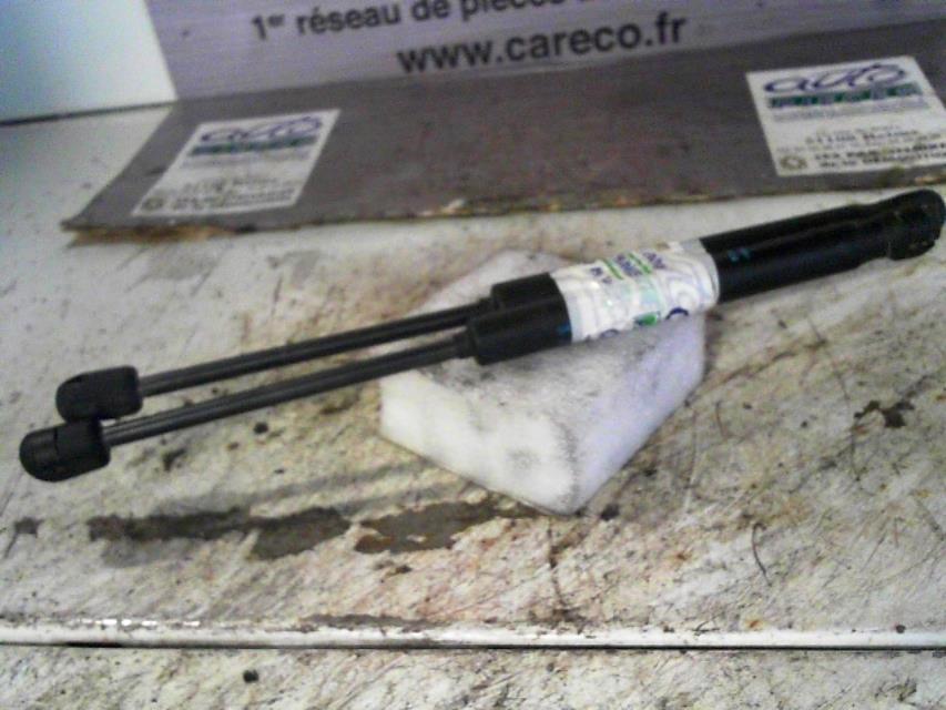 Verin de coffre
