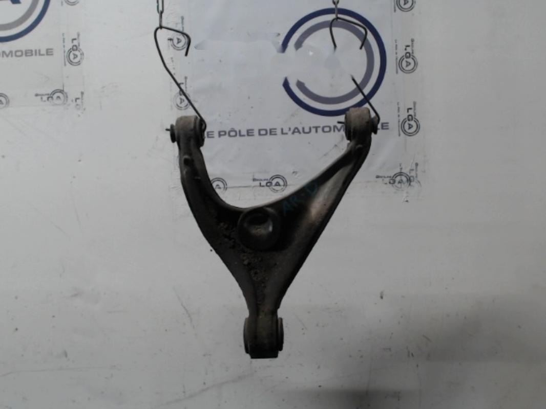 Bras inferieur arriere droit