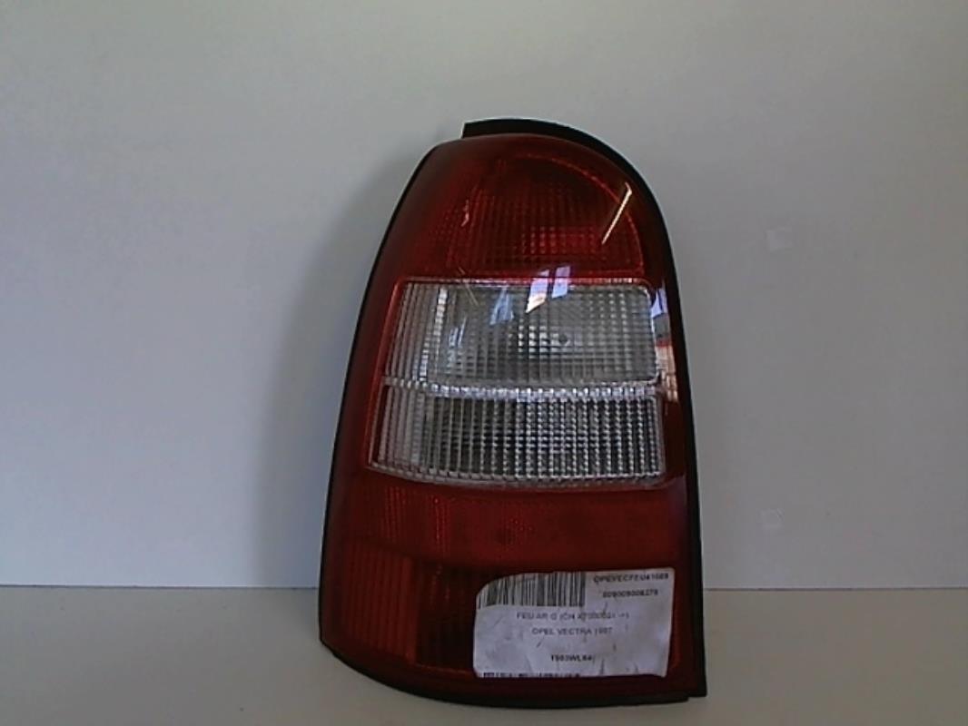 Fanale posteriore principale sinistro (luci)