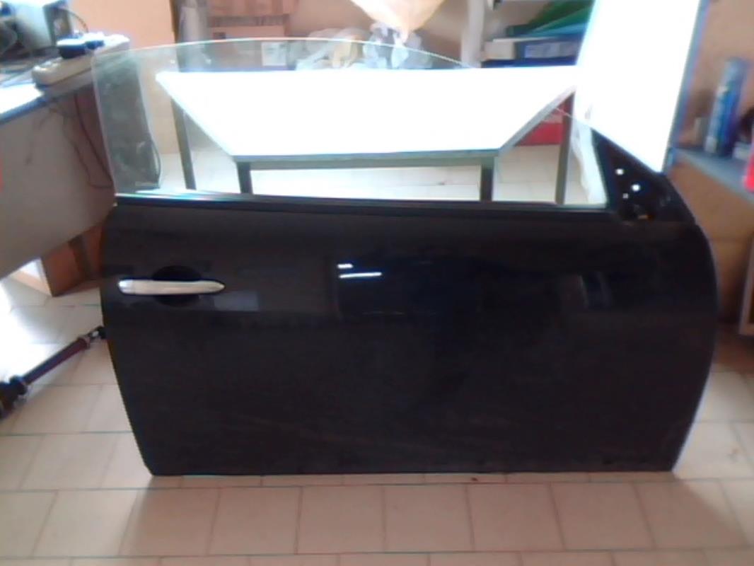 Puerta delantera derecha