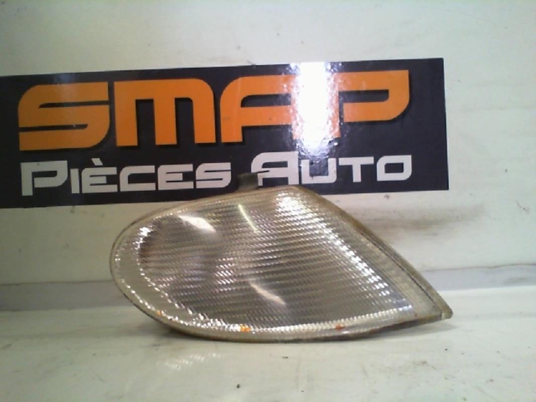 Ripetitore lampeggiante anteriore destro (Luci)