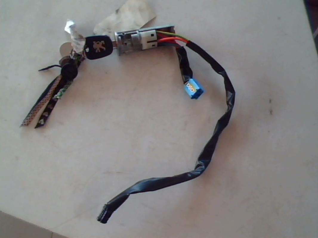 Immobilizzatore