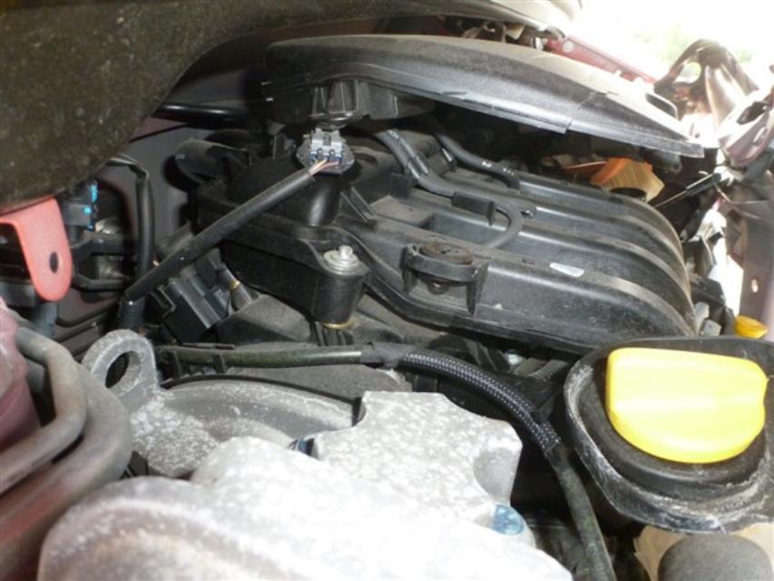 Cardan gauche (transmission)