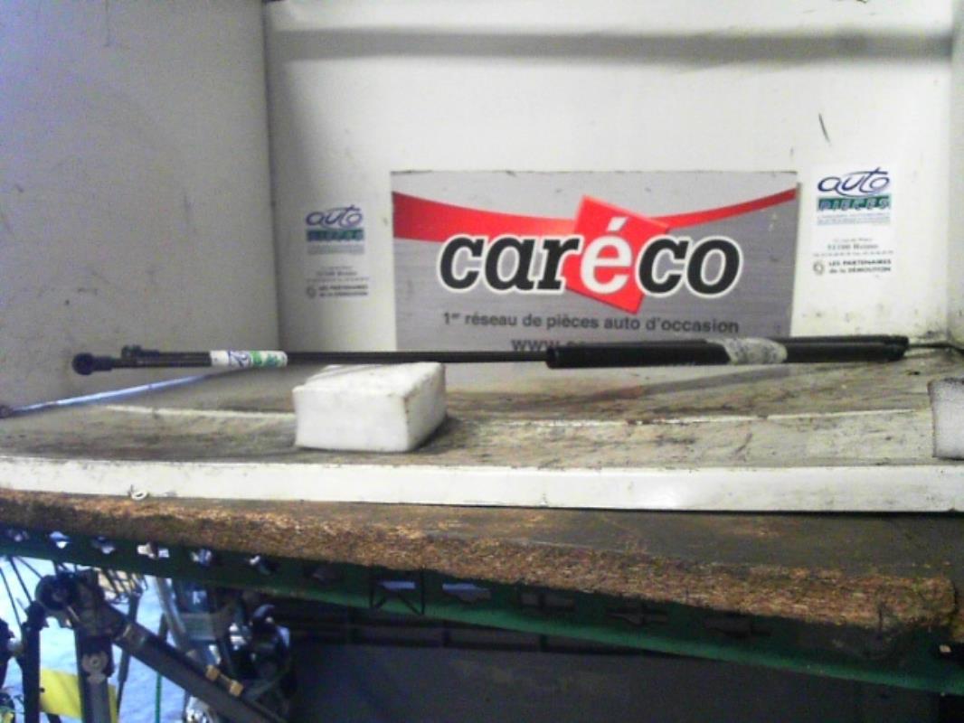 Verin de coffre
