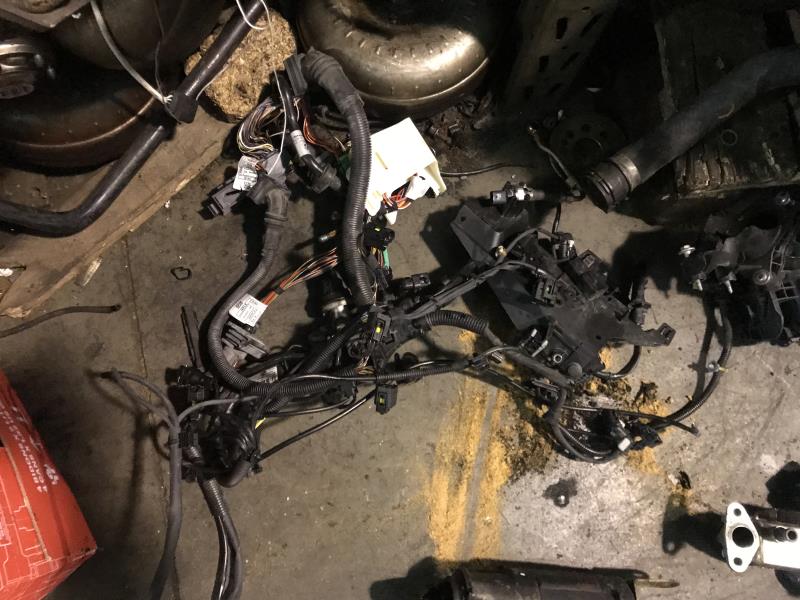 Cablaggio motore