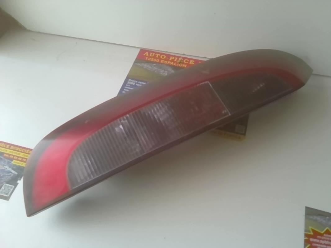 Fanale posteriore principale sinistro (luci)