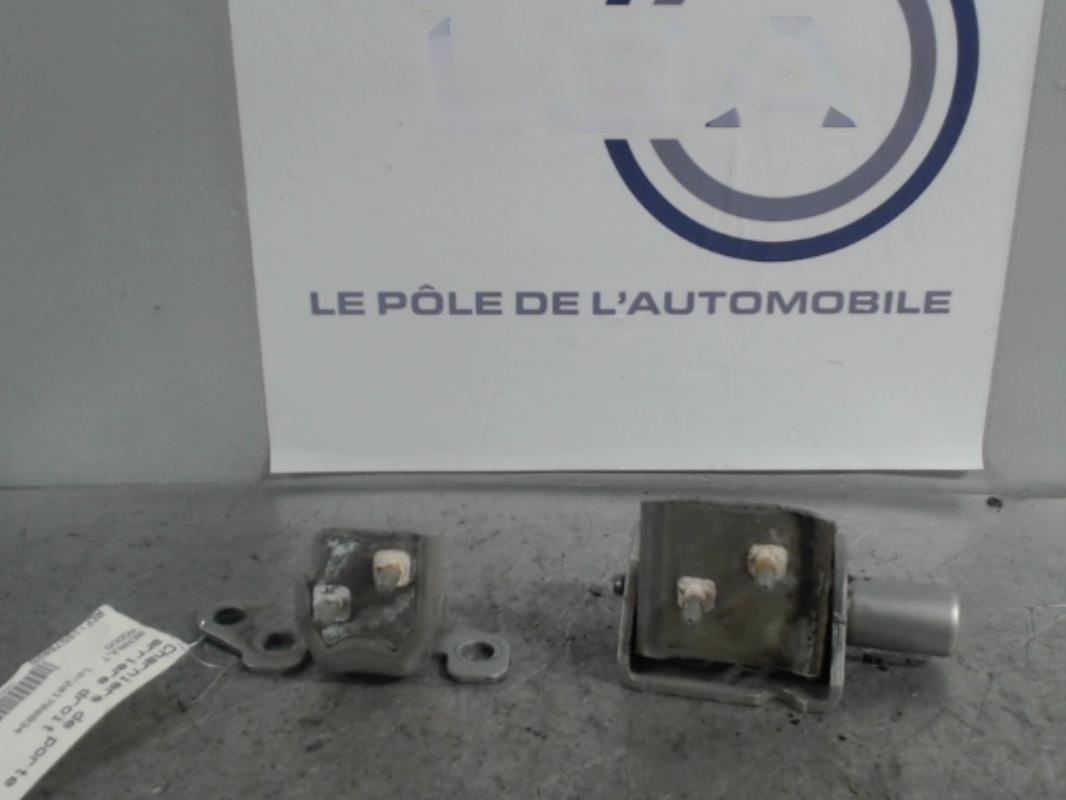 Charniere de porte arriere droit