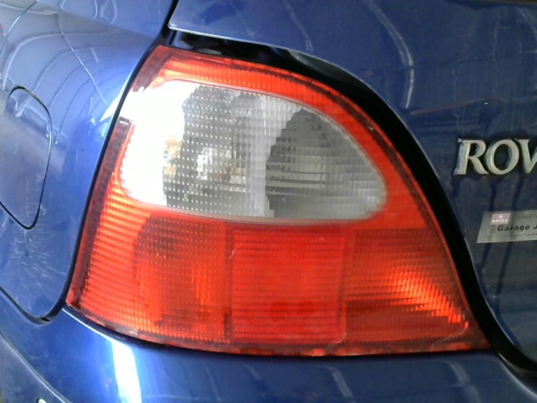 Fanale posteriore principale sinistro (luci)