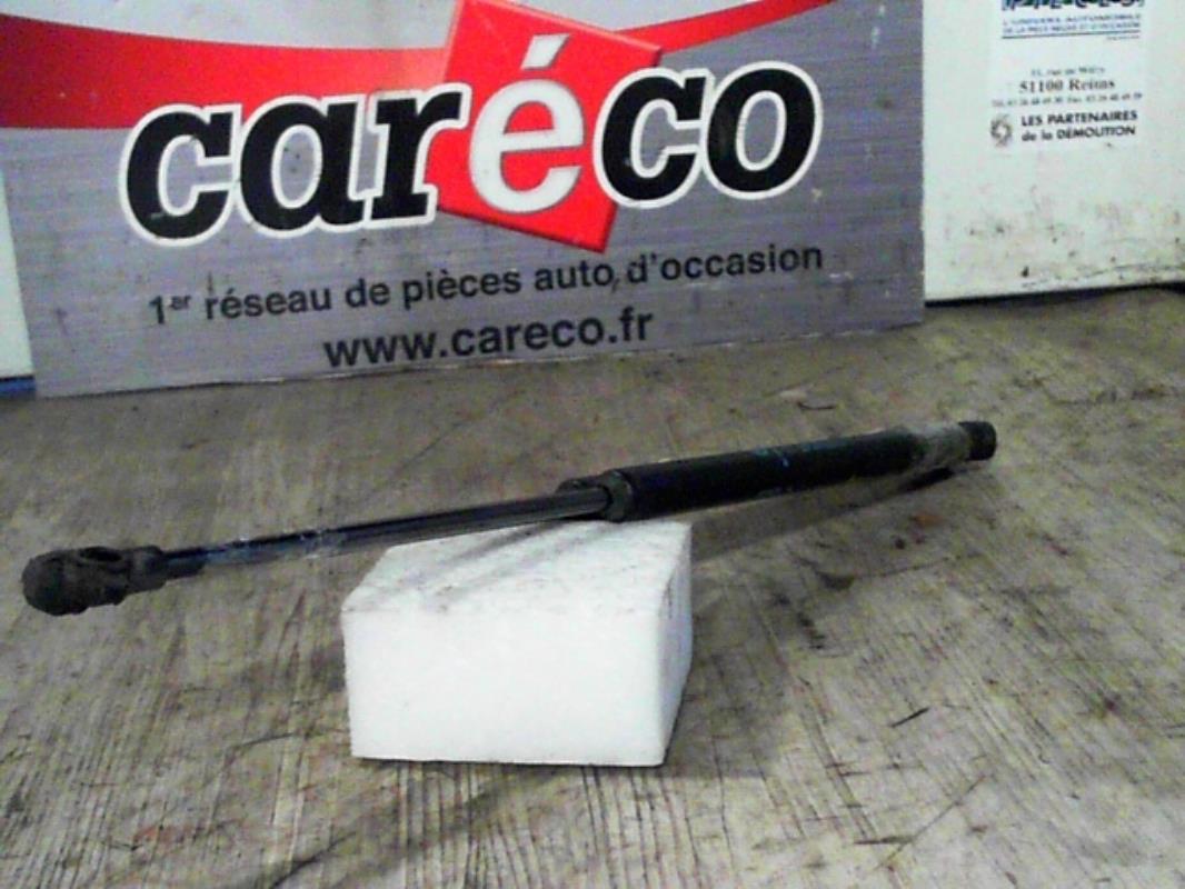 Verin de coffre
