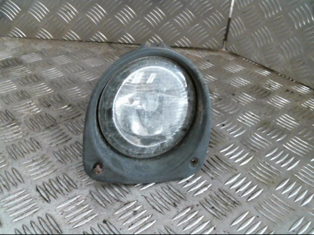 Fendinebbia sinistro (luce)