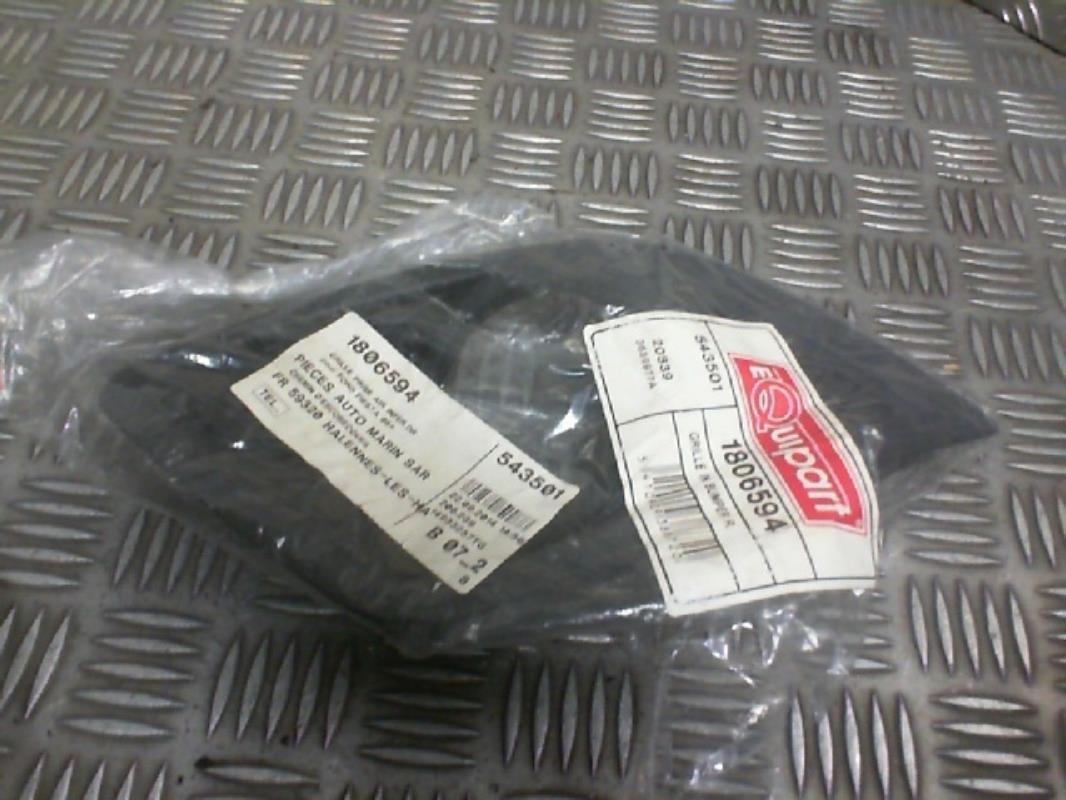 Grille de pare choc
