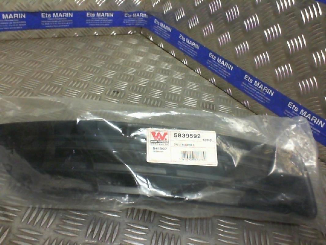 Grille de pare choc