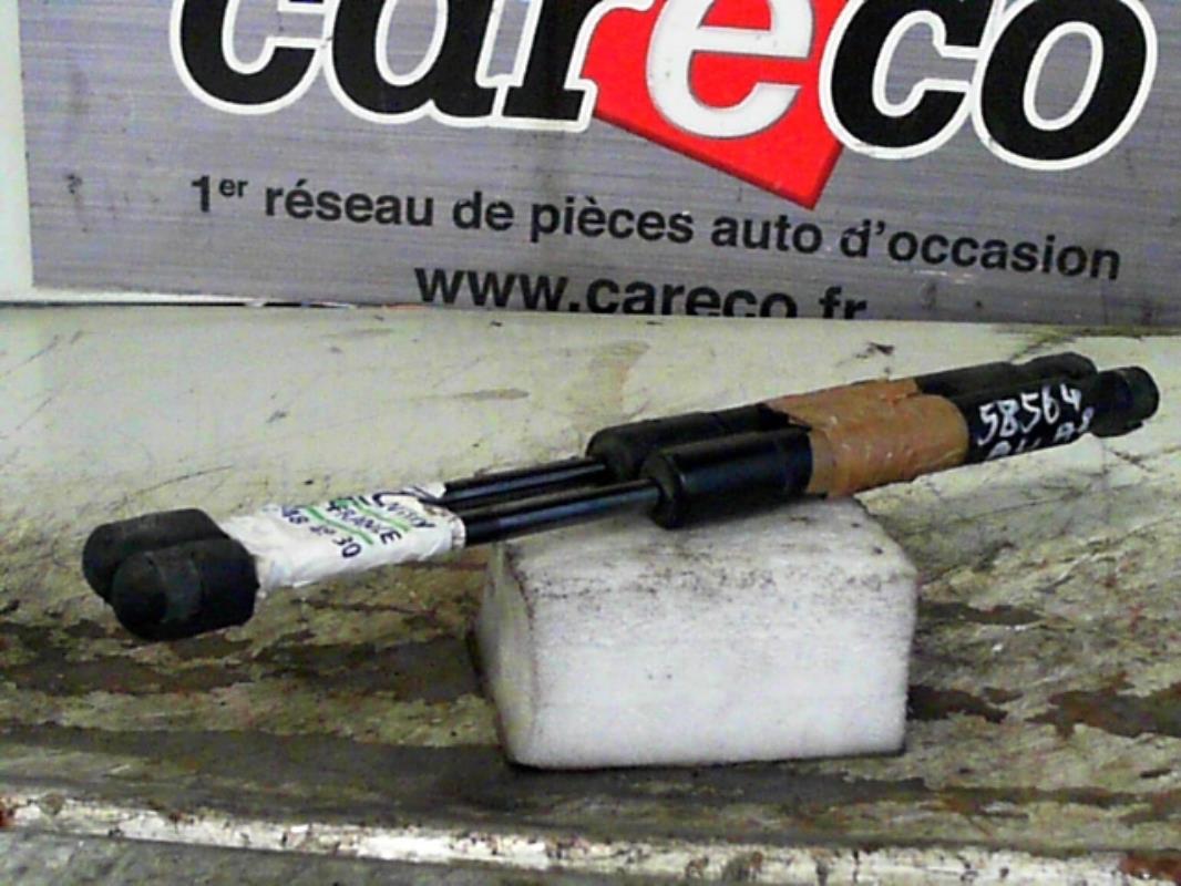 Verin de coffre