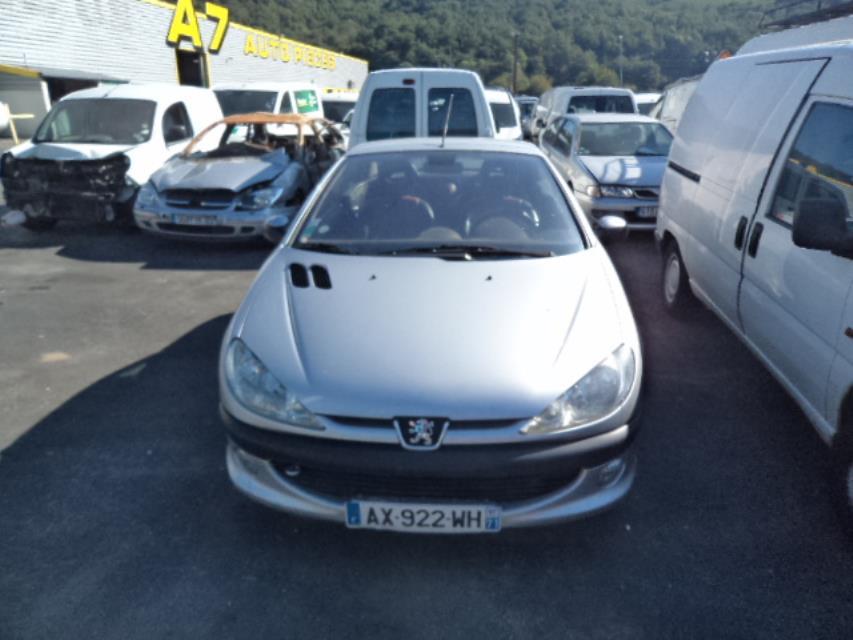 Pinza freni posteriore sinistra