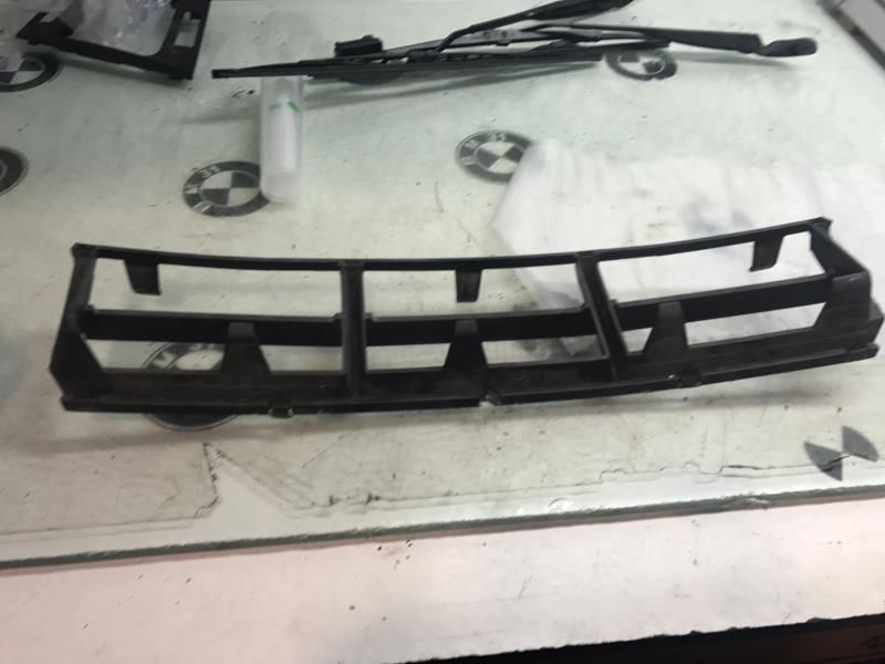 Grille de pare choc
