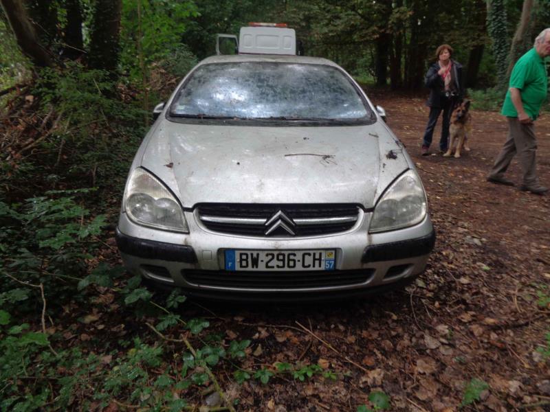 Cardan droit (transmission)