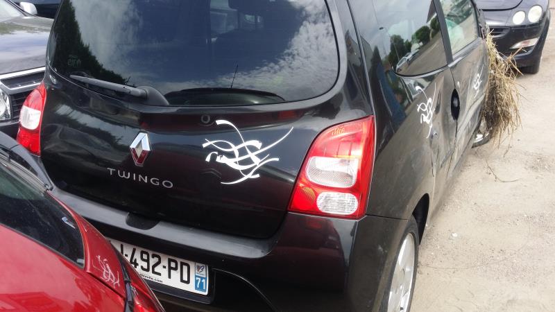 Tamburo posteriore sinistro