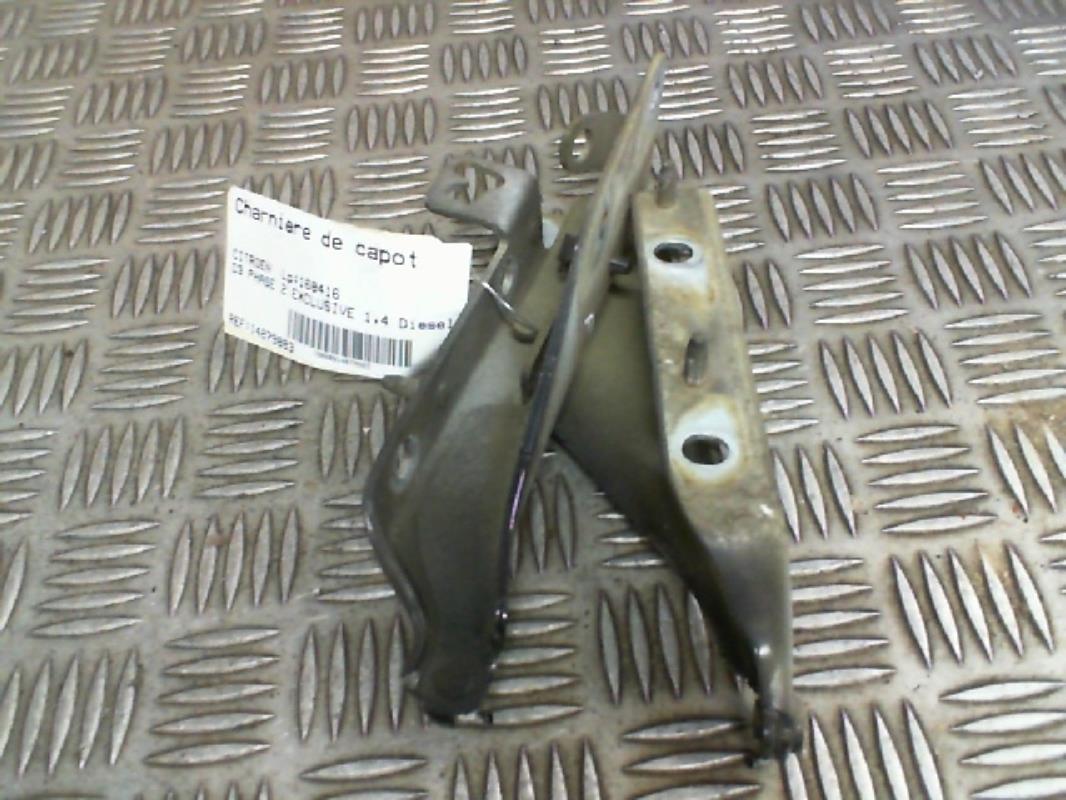 Cerniera cofano
