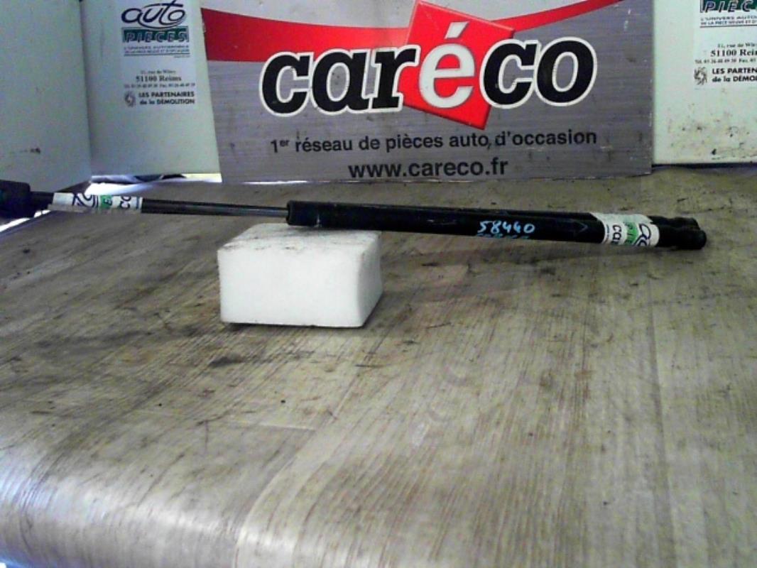 Verin de coffre