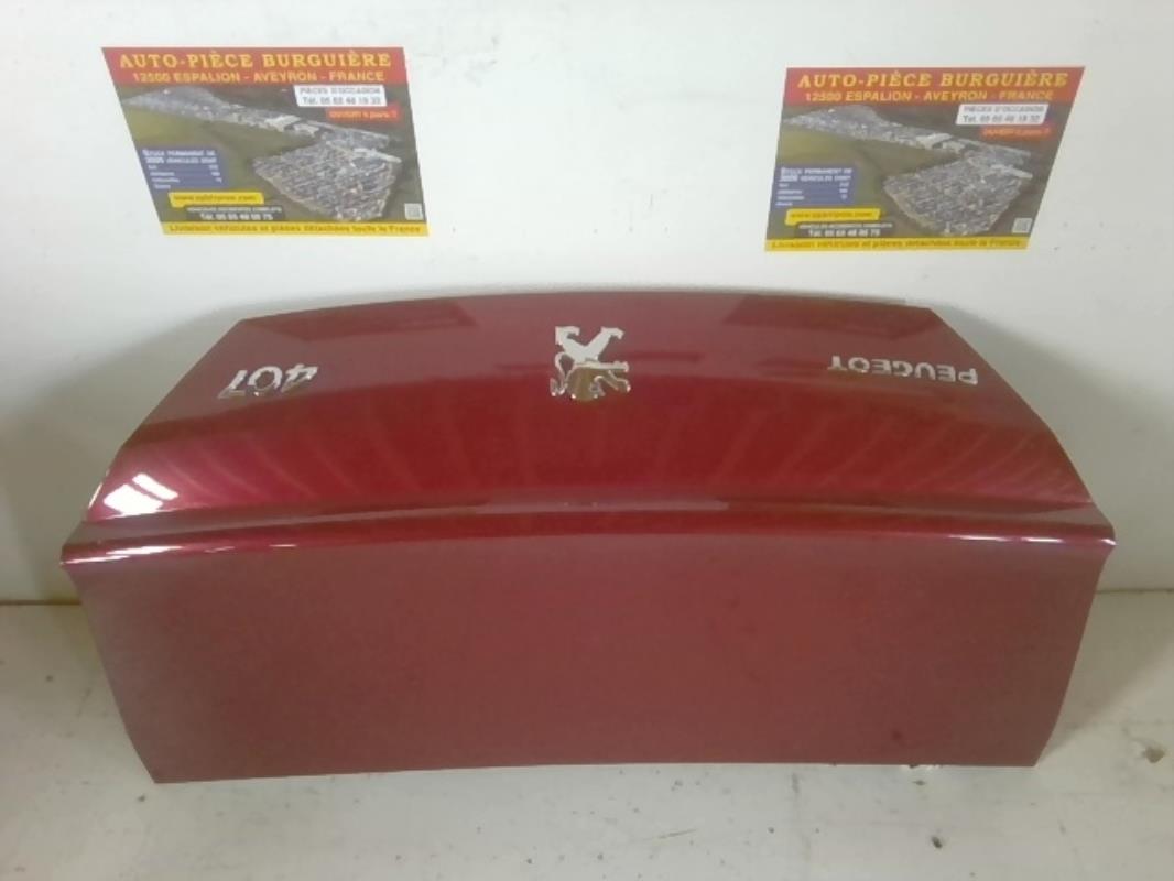 Malle/Hayon arriere