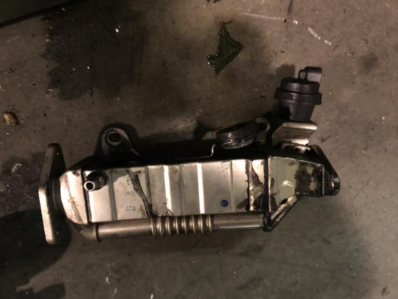 Radiateur EGR
