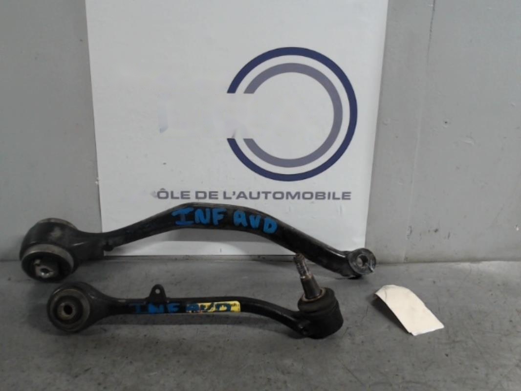 Bras inferieur avant droit