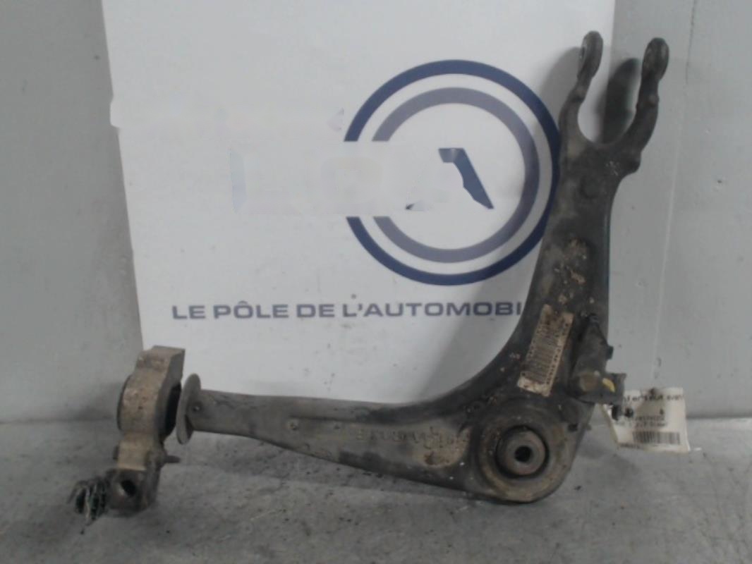 Bras inferieur avant gauche