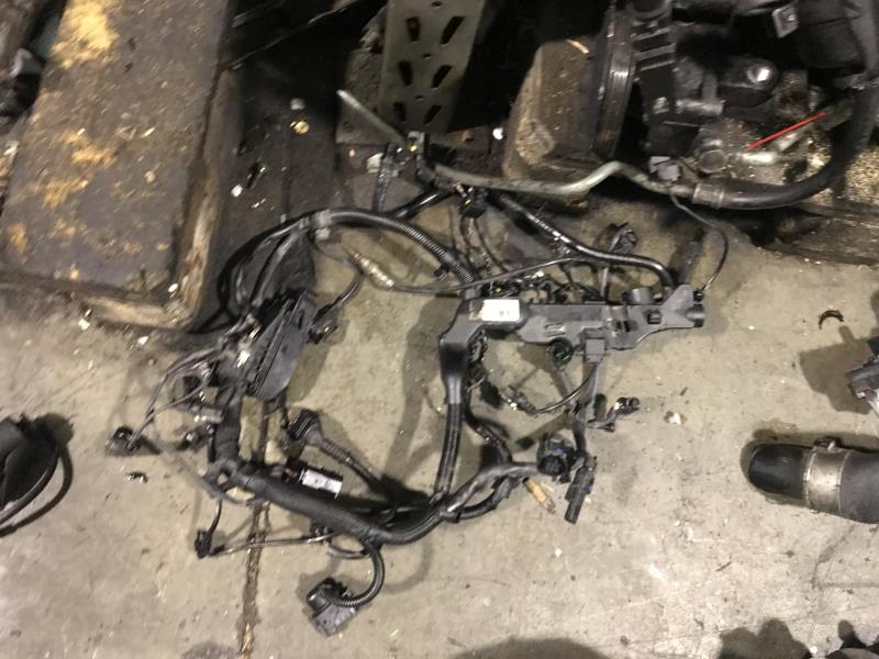 Cablaggio motore