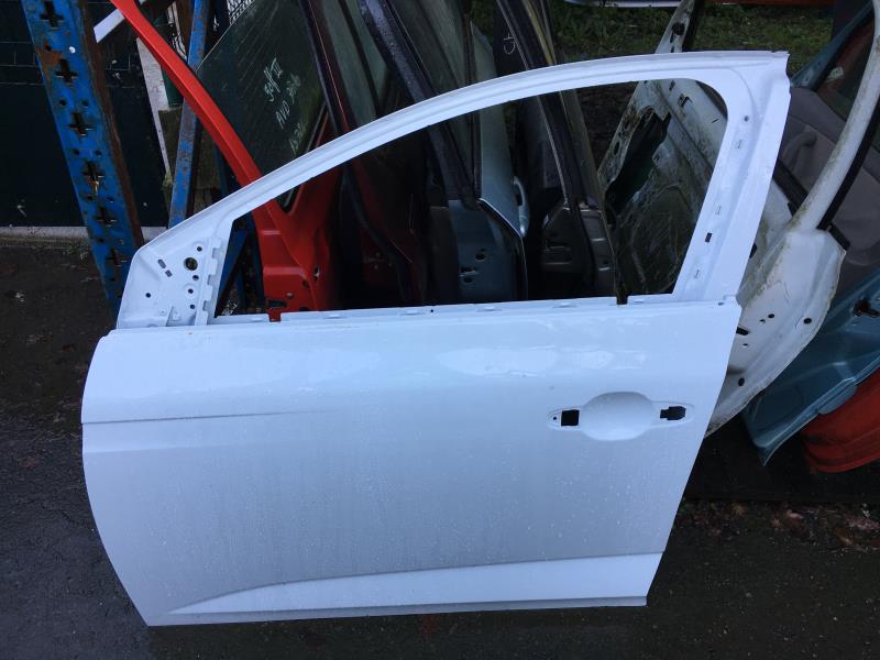 Porte avant gauche
