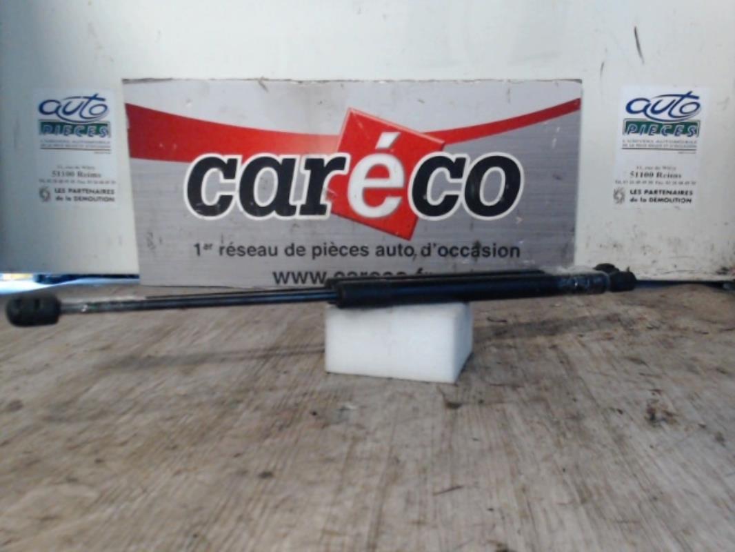 Verin de coffre