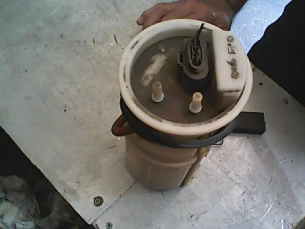 Pompe immergee