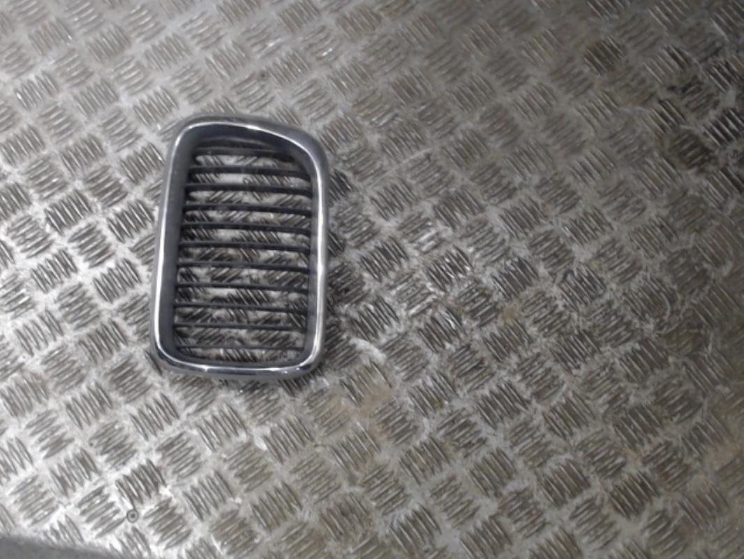 Grille de calandre gauche