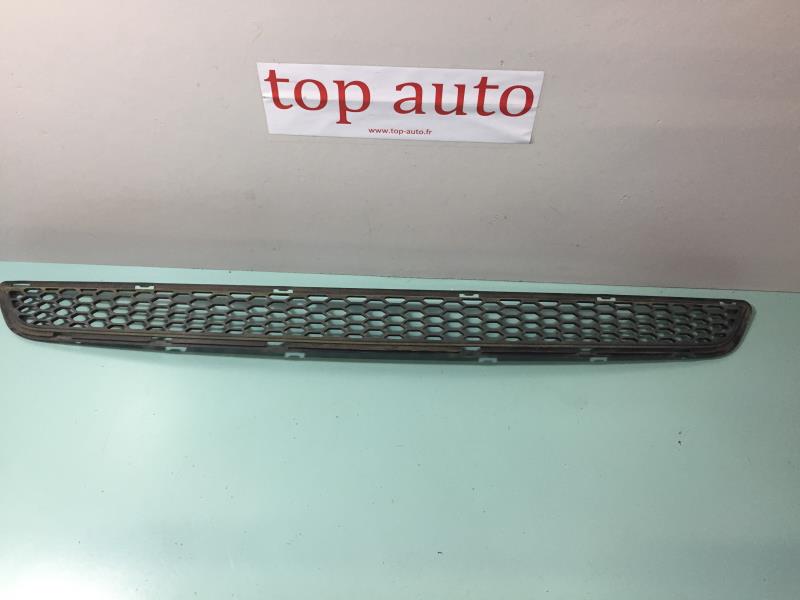Grille de pare choc