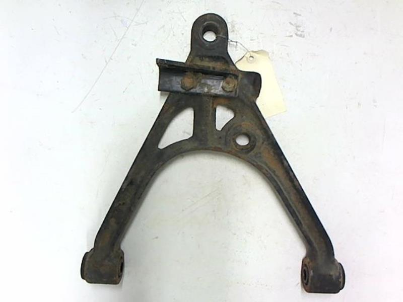 Triangolo inferiore anteriore sinistro