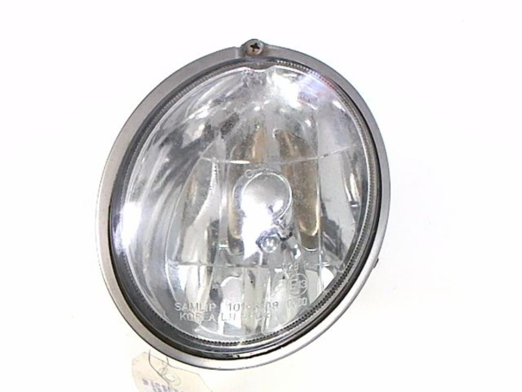 Fendinebbia sinistro (luce)