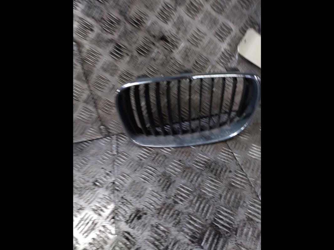 Grille de pare choc