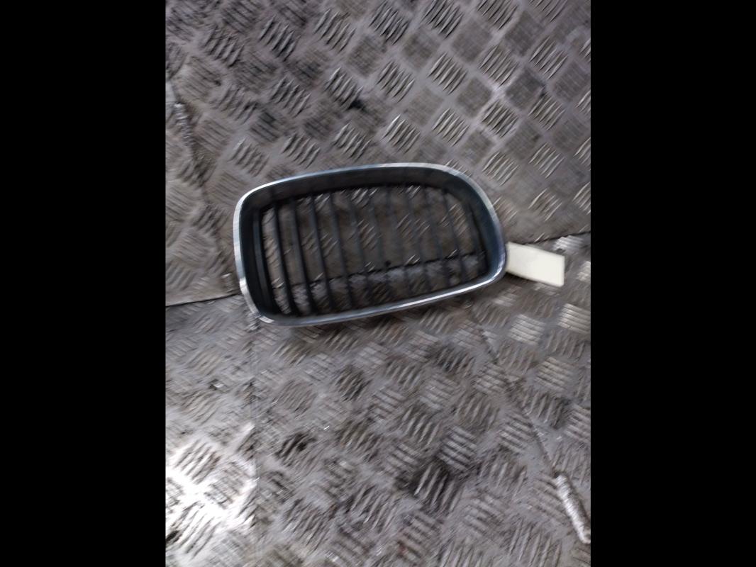 Grille de pare choc