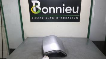 Cantonale posteriore sinistro