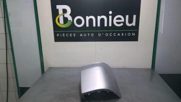 Cantonale posteriore destro