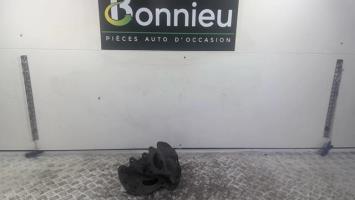 Fuso anteriore sinistro