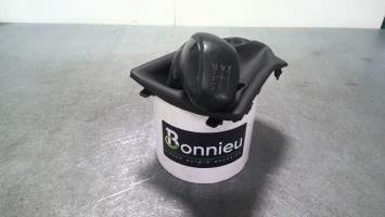 Pomello del cambio